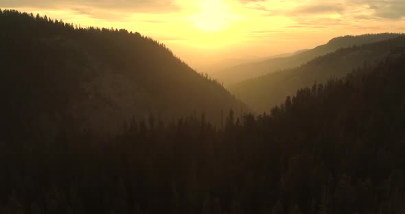 Sunlight Over the World's Largest Trees, Alpine Landscape of the Sierra Crest.