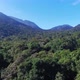 River Background Video Footage - Aerial View Of A Forest Landscape - VideoHive Item for Sale