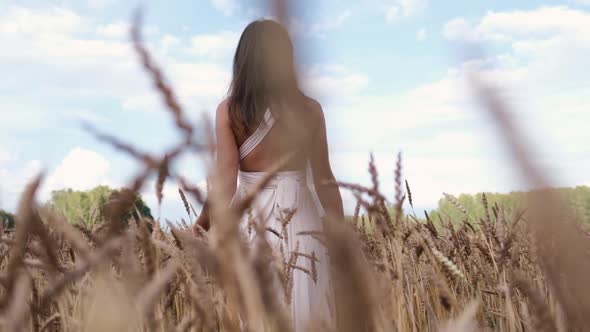 An Attractive Girl Stands in the Field. Shooting Through the Ears