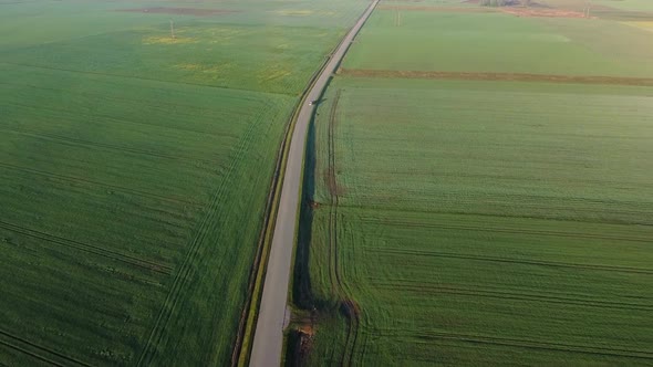 Drone flying over a small country road with green farming fields on the sides. Car driving. Lithuani