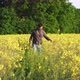 Man is Walking Down the Meadow Among Wildflowers Yellow Flowers in Countryside - VideoHive Item for Sale