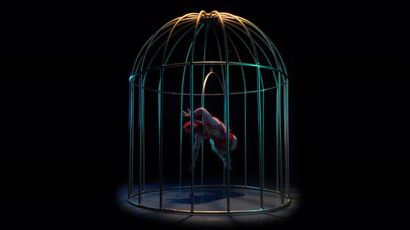 Aerial Acrobatics on a Rotating Hoop in a Metal Cage . Black Background