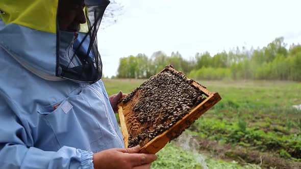 Beekeeper on Apiary