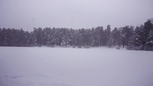 People walk in the forest in winter along the lake