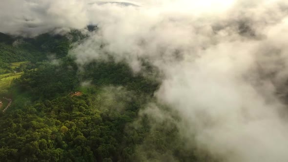 Aerial view flying above lush green tropical rain forest mountain with rain cloud cover during the r