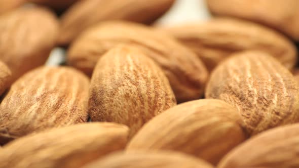 Almonds rotating close up studio