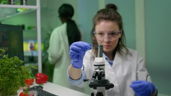 Biologist Taking Green Leaf Sample Putting Under Microscope