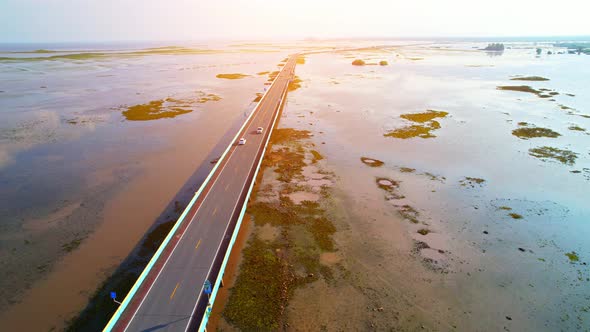 Drone video of the road leads through a large beautiful wetland.