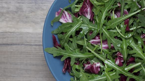 Salad leaves mix green, juicy snack, in a plate, rotating on a table.