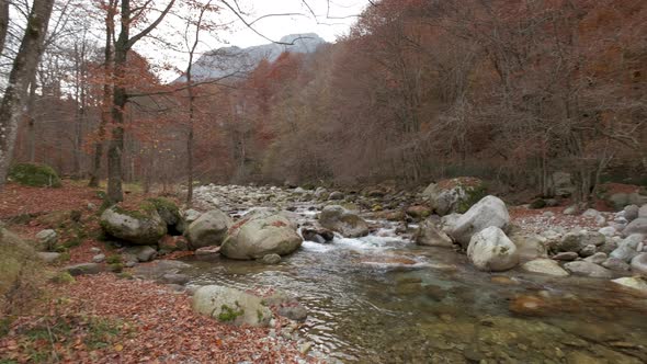 Autumn Mountain River