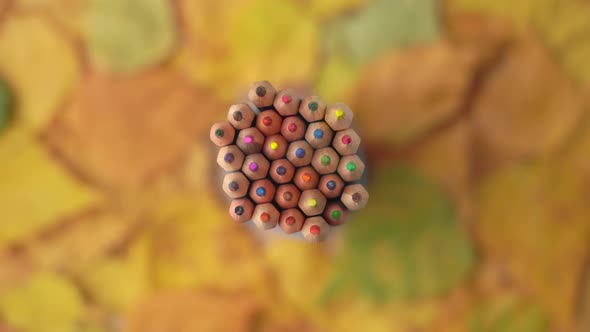 A stack of colored wooden pencils rotate against a background of dry autumn leaves.