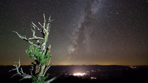 Stars Night Sky Time-Lapse Bristlecone