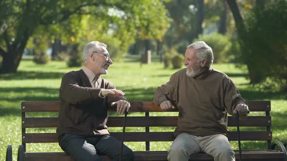 Senior Men Laughing and Remembering Their Friend, Good Past Years, Memories