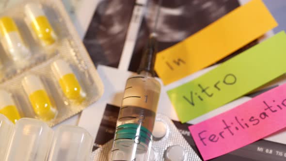 IVF or in Vitro Fertilisation Reproductive Infertility or Sterility