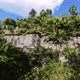 Cliff In The Jungle - VideoHive Item for Sale