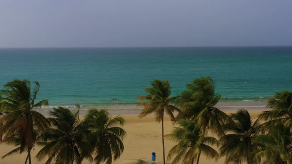 A flyover of palm trees to the beach located on the coast of San Juan, Puerto Rico.