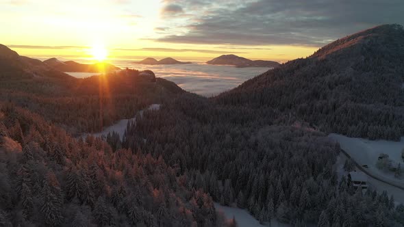 Flying over a winter forest