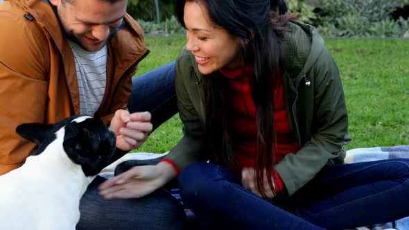 Affectionate couple playing with pet dog 4k