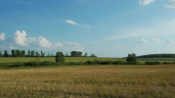 Driving Through Beautiful Field Scenery