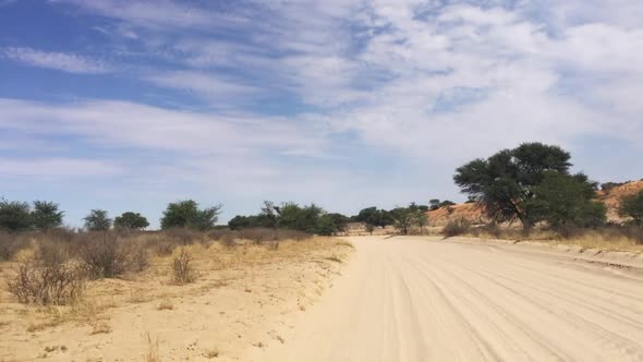 The view of the Kalahari dirt roads through a safari vehicle in the Kgalagadi Transfrontier Park on