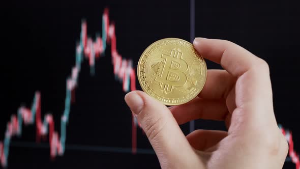 Female hand holding bitcoin on background Stock exchange market chart of btc.