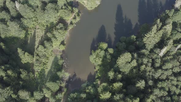 Trabzon City Pond Middle Of Forest Top View