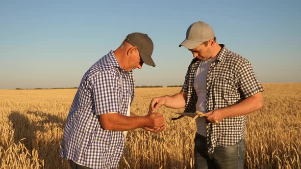 Farmer and Businessman with Tablet Working As a Team in Field. Agronomist and Farmer