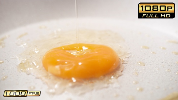 Raw Egg Falling onto Greased Frypan