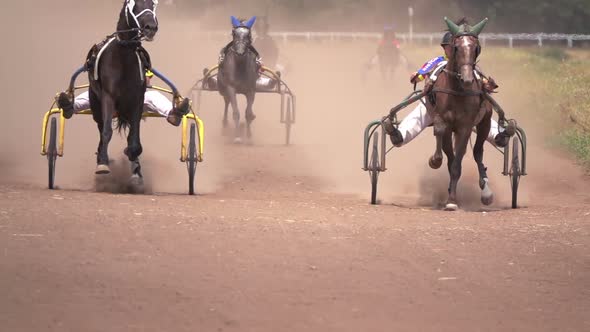 Horse Racing Of The Wagons