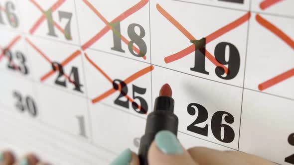 Female Hand Crosses with Red Marker the Calendar Day 26. Slow Motion Shot. Close Up