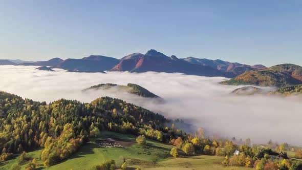 Aerial Foggy Autumn Mountains Nature