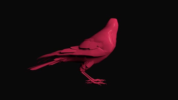 Pink Crow