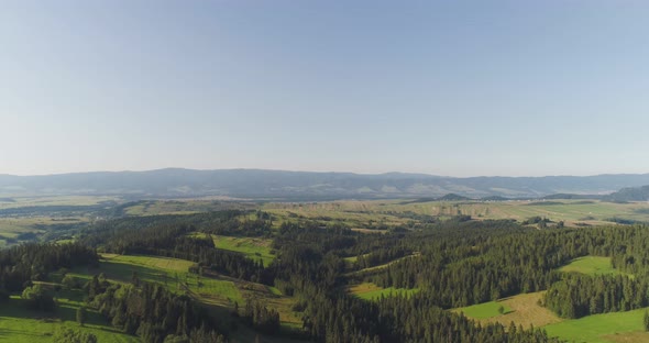 Flying Over the Beautiful Forest Trees. Landscape Panorama