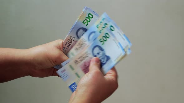 woman counting mexican bills of 500 pesos cash