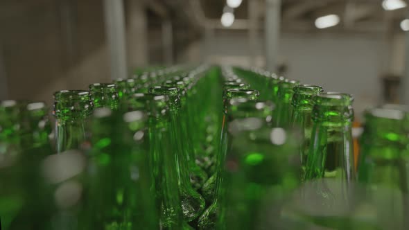 Close-up of green glass bottles moving along the production line. Beer production