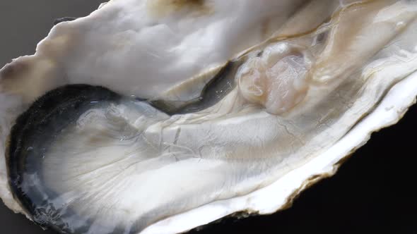 Close Up of Giant Raw Fresh Oyster on Half Shell on Black Background