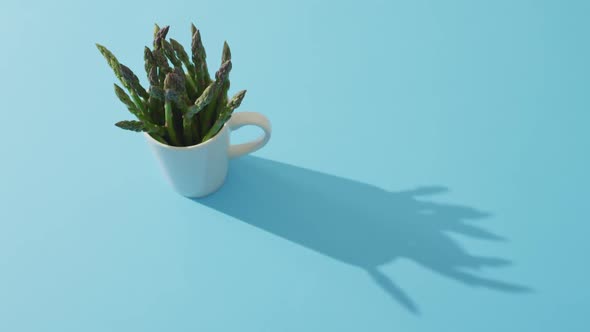 Video of fresh asparagus in white cup with copy space over blue background