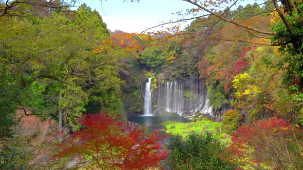 Shiraito waterfall. Maple leaves or fall foliage in autumn season