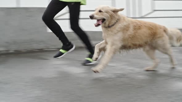 Cute Furry Jogging Partner