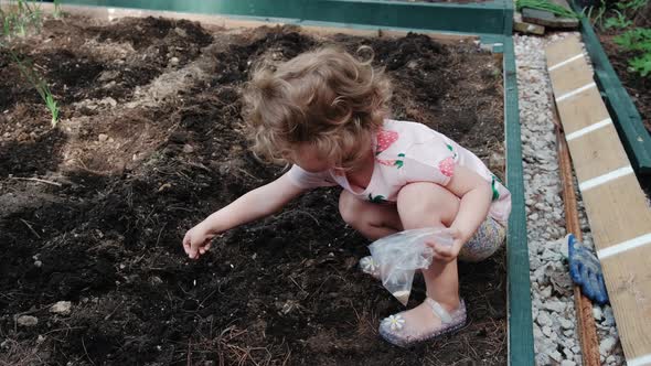 Child Girl Plants Flower Seeds