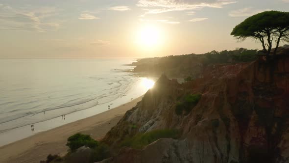 Sea Cliffs Surrounded with the Atlantic Ocean and Endemic Vegetation