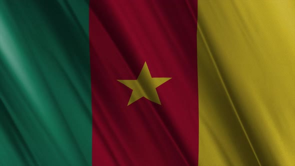 Cameroon Flag