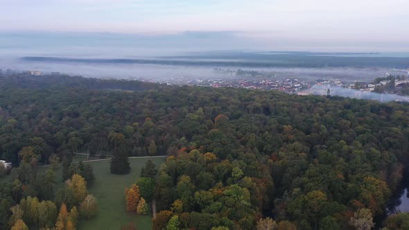 Beautiful flight over autumn trees, park, Leaves on trees of different colors