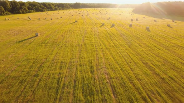 Rolls of Haystacks on the Field