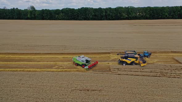 Combine harvester on field wheat. Aerial shot of combine harvesters working on field