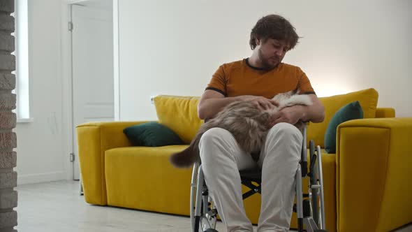 Adult Sad Man in a Wheelchair Petting His Fluffy Cat