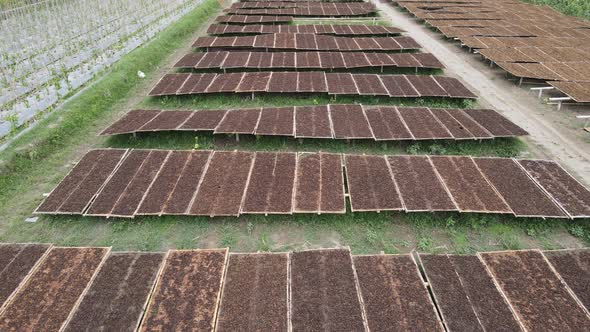 Aerial view of traditional drying tobacco leaves under the sun in Indonesia.