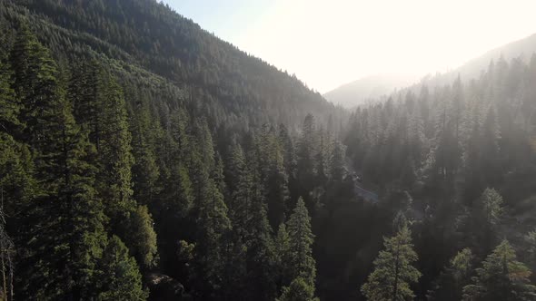 Slow, cinematic ariel drone shot hovering over the trees toward highway 50 in California near lake T