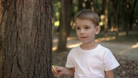 Boy in a White Shirt Eats Cookies