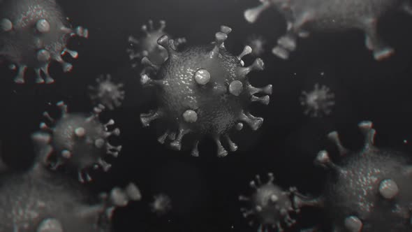 Coronavirus V2 alt